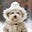 Susan M Kilborn's avatar