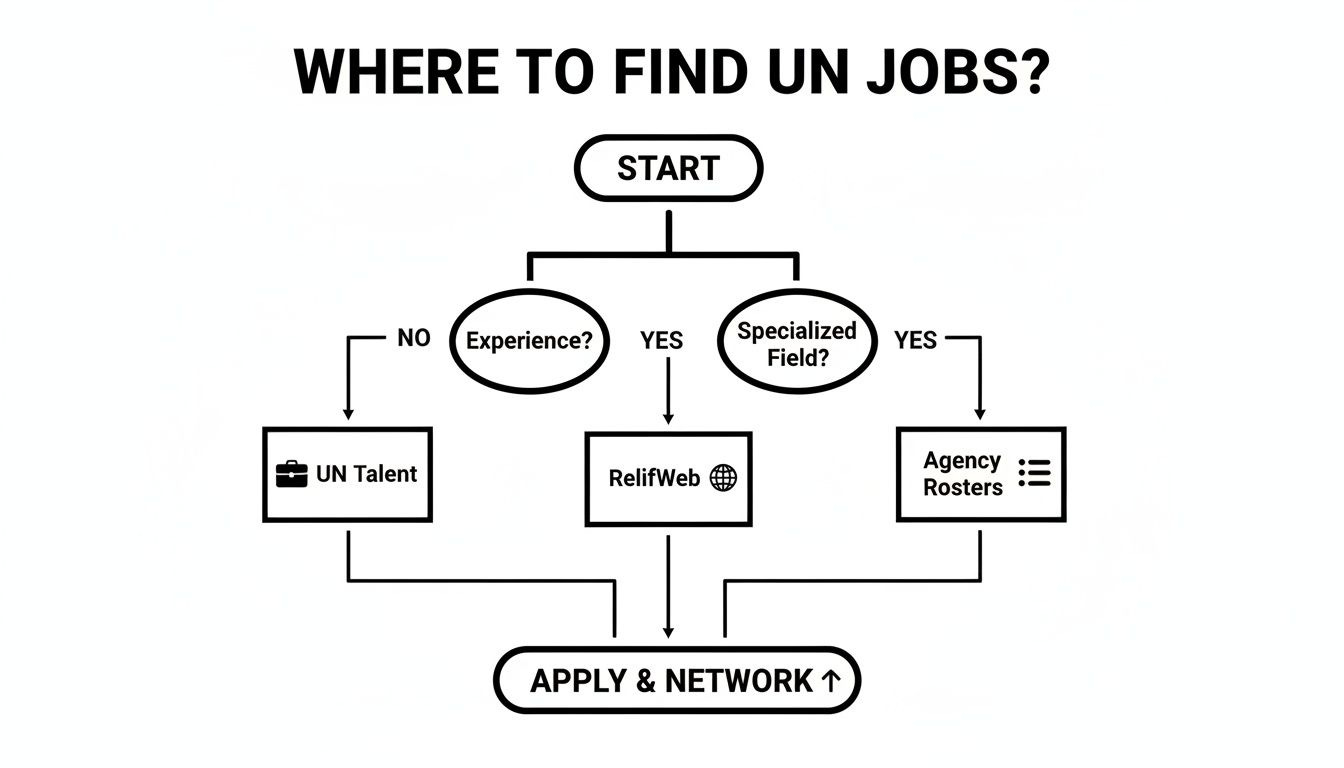 A flowchart guiding users on where to find UN jobs based on experience and specialization.