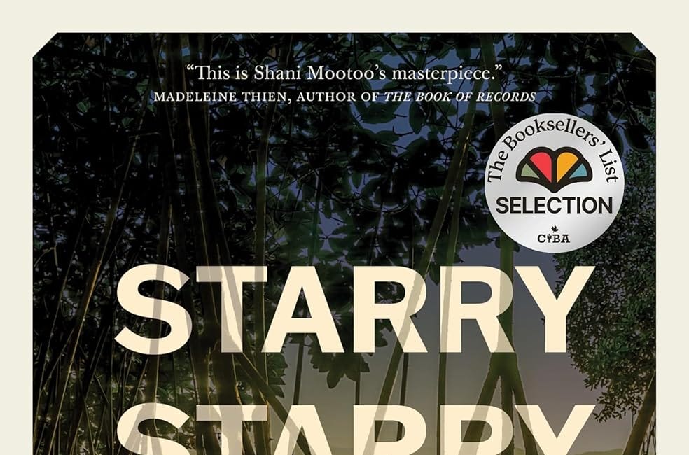 Starry Starry Night by Shani Mootoo