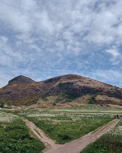 Gallery (3 images) - Image 1: Top-down view of my dark outfit and shoes, surrounded by faded yellow cherry blossom petals. Image 2: Hill in Holyrood Park, captured from a distance. Image 3: Close-up of the same hill, showing textured rock and greenery.