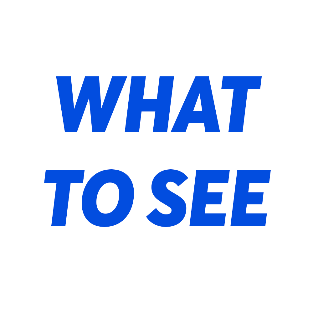 What To See logo