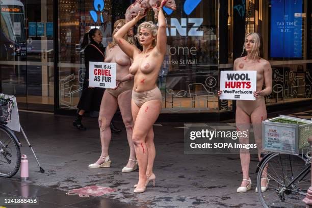 8,082 Peta Protest Stock Photos, High-Res Pictures, and Images - Getty  Images