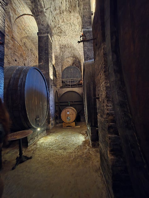 Nine photos from Multepuciano area