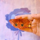 Do We Truly See Her? Lesbian Selfhood Negated