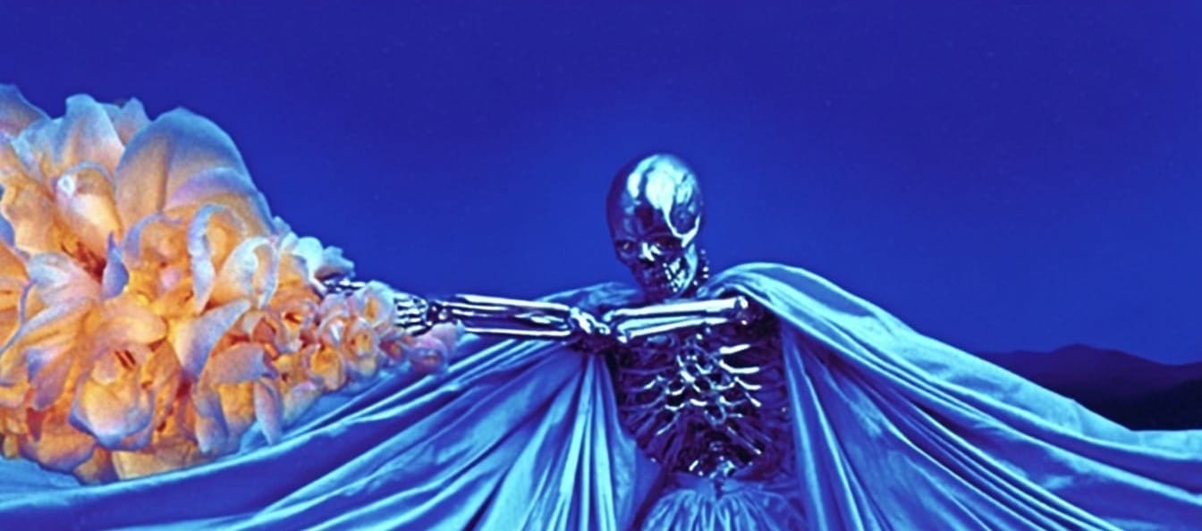 Skynet Is Running in My Kitchen