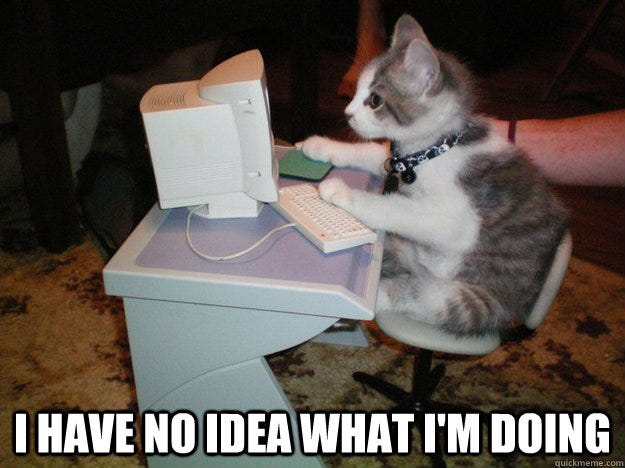 I have no idea what I'm doing  cat computer.
