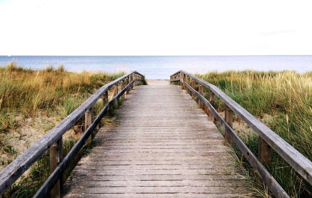photo of gray wooden bridge photo of gray wooden bridge