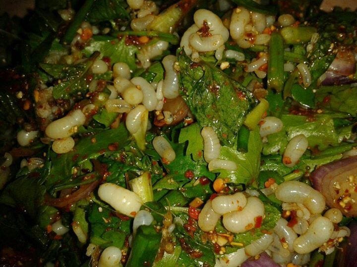 Northern (or Northeastern) Thai food. Yam kai mod deang (Spicy Red Ant ...