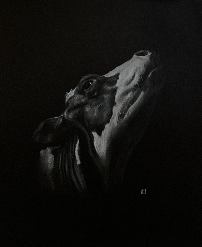 Image 4996146 Image 4996146