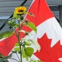 🇨🇦 Natalie Woodn’t 🇨🇦's avatar