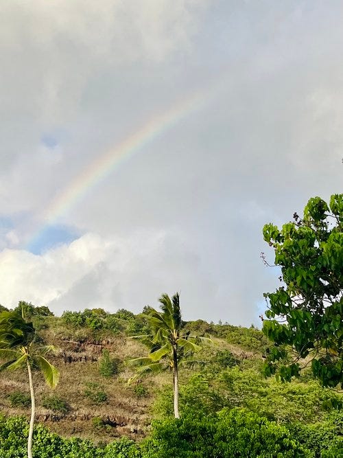 Views of Oahu on the beach, outside the lodge, in my room, and under a rainbow