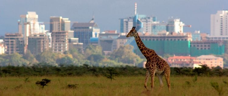 Kenya – Nairobi, top business city in Africa - Kenya – Nairobi, top business city in Africa -