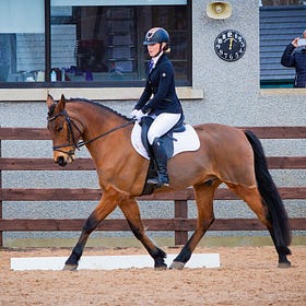 Dressage days conclude at Hagans Croft