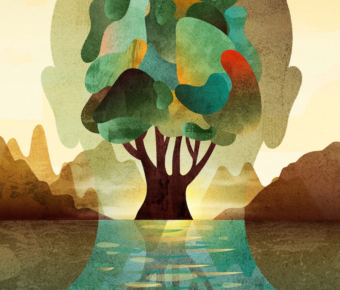Psalm 1 A tree by flowing water image 2