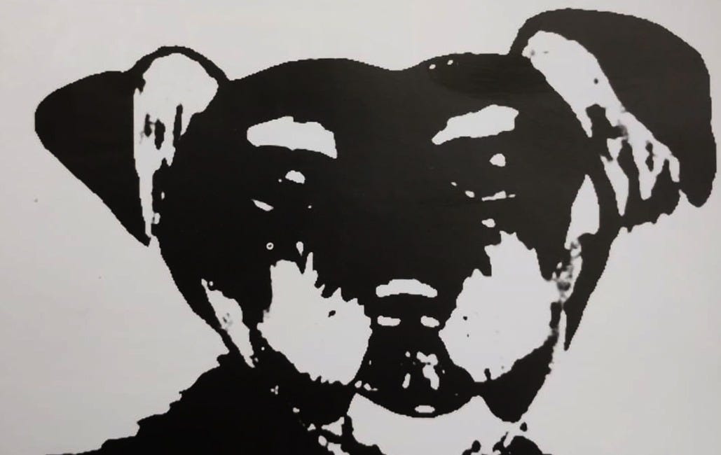 A cachorra do Zé do Aio