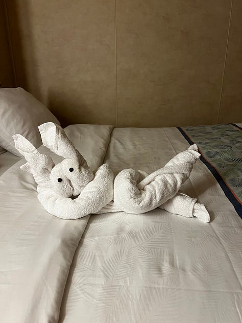 pictures of towel animals from a carnival cruise