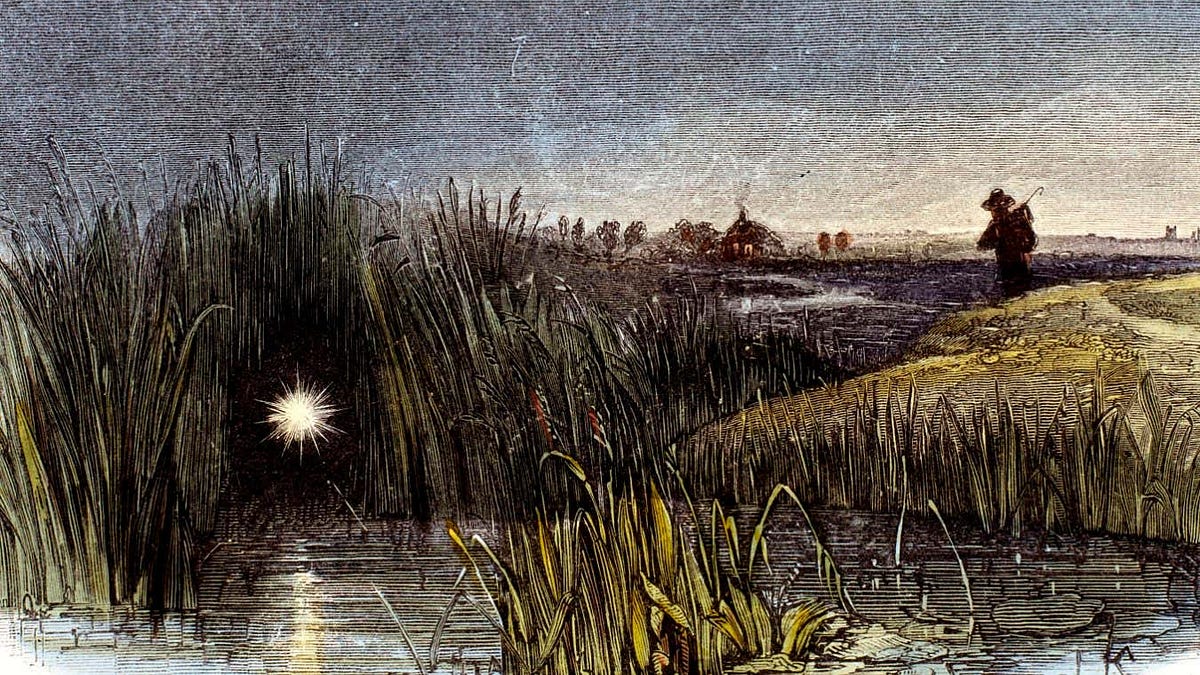 Boglore: Creatures from the Fens and Peatlands