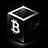 Bitcoin Coherence Ledger