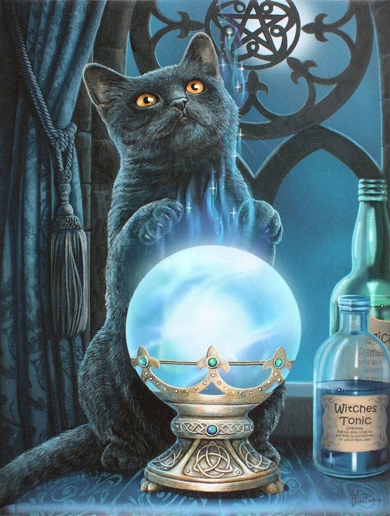 Black Cat Wall Plaque Art Print by Lisa Parker Witches Apprentice Crystal  Ball Kitty Wall Plaque | Black cat art, Cat art, Magic cat