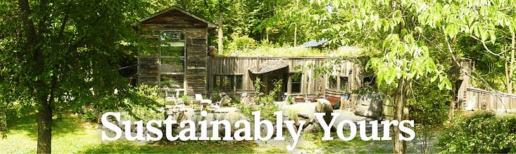 Sustainably Yours