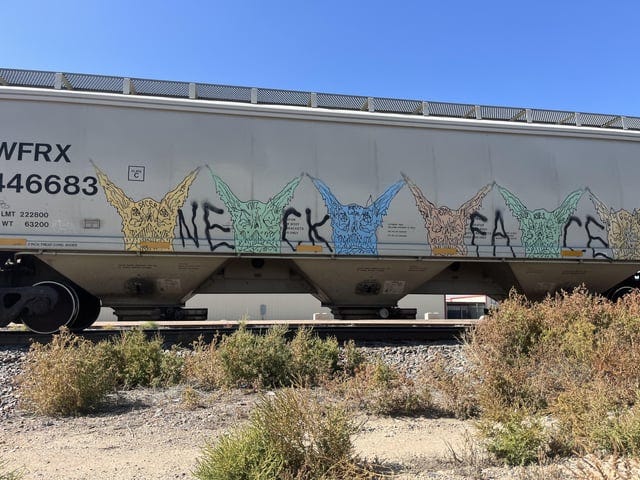 r/Graffiti - neckface in the wild (colorado)
