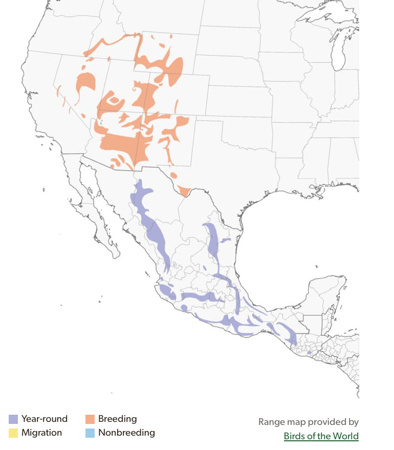 Screenshot 2025-07-23 at 10.12.59 AM.png Screenshot 2025-07-23 at 10.12.59 AM.png