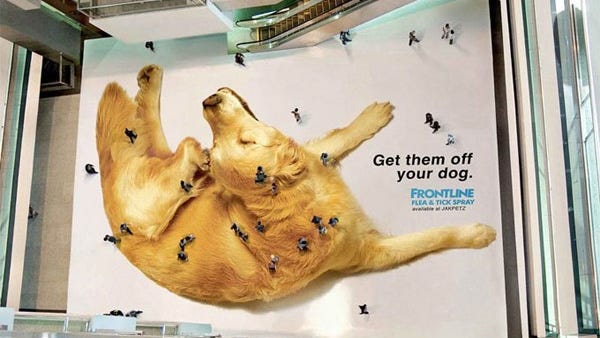 Frontline Defense Crawls into Floor Graphics to Deliver Their Message -  Capital Wraps