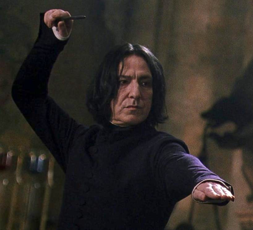 Accepted combative position | Harry Potter Wiki | Fandom
