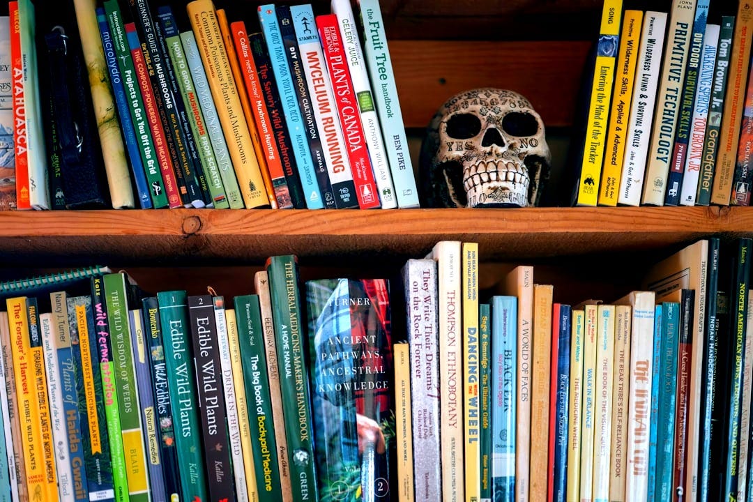 Shelf of books with a skull decoration Shelf of books with a skull decoration
