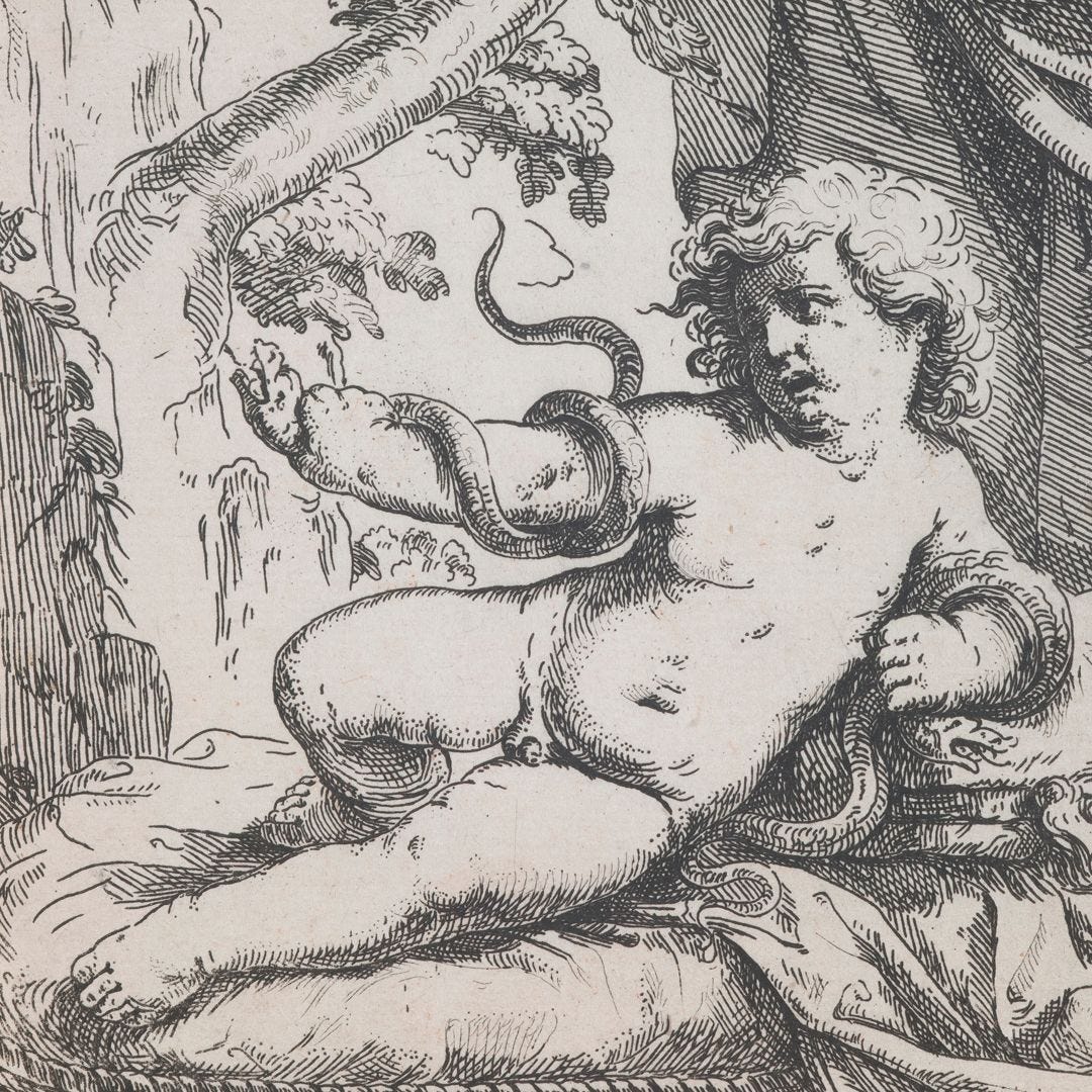 The Strange World of Anti-Natalism The Strange World of Anti-Natalism