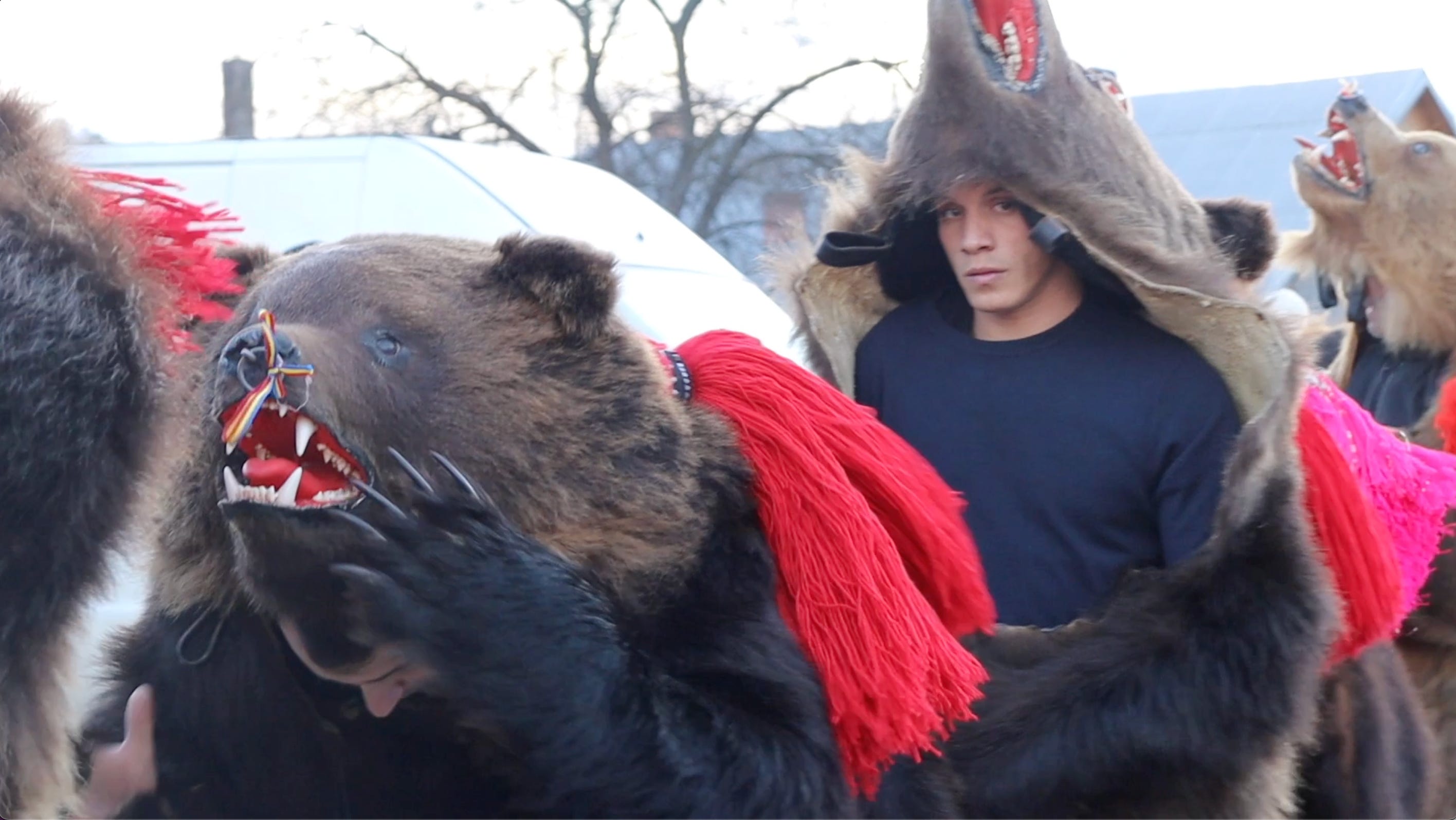 熊の報い †第2話──パレードがはじまる【短期集中連載｜阪本佳郎