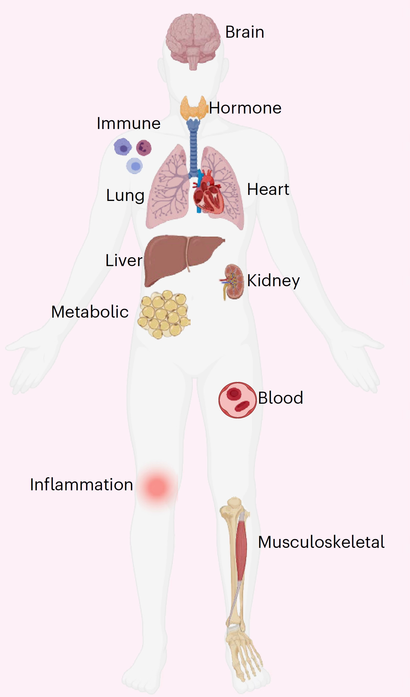 It's Time for Primary Prevention in Medicine