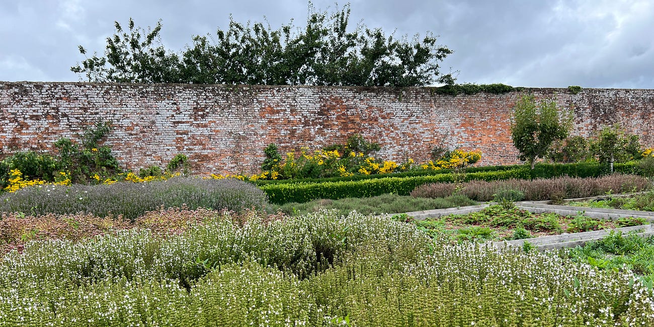 NOTES from. the garden // flowering herbs