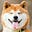 Internaut's avatar