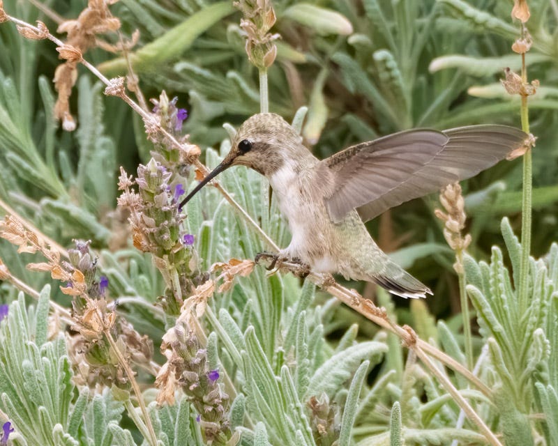 20260720-mby-179-Edit.jpg