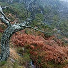 Past the Corner of My Eye