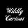 Wildly’s Substack