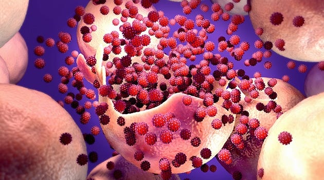 Blocking inhibits SARS-CoV-2 infection of human cells – Uppsala University