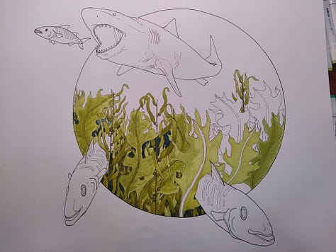 process pictures of a ink and marker drawing