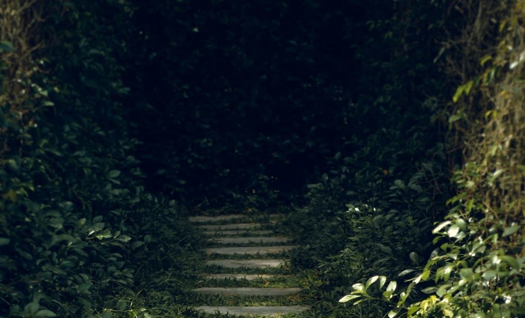 a stone path in the middle of a forest