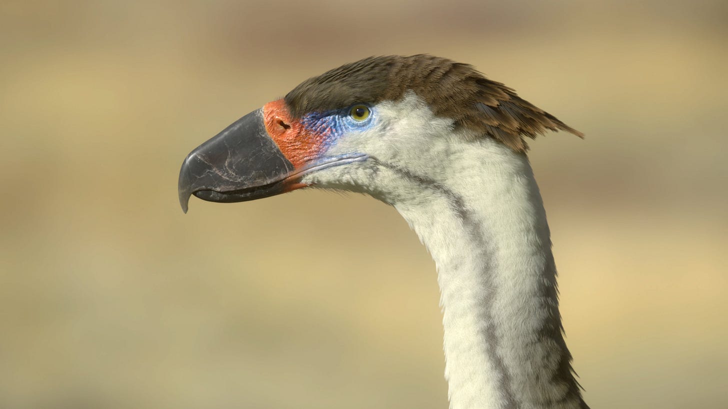 A close-up of the psilopterine terror bird that appears in the episode