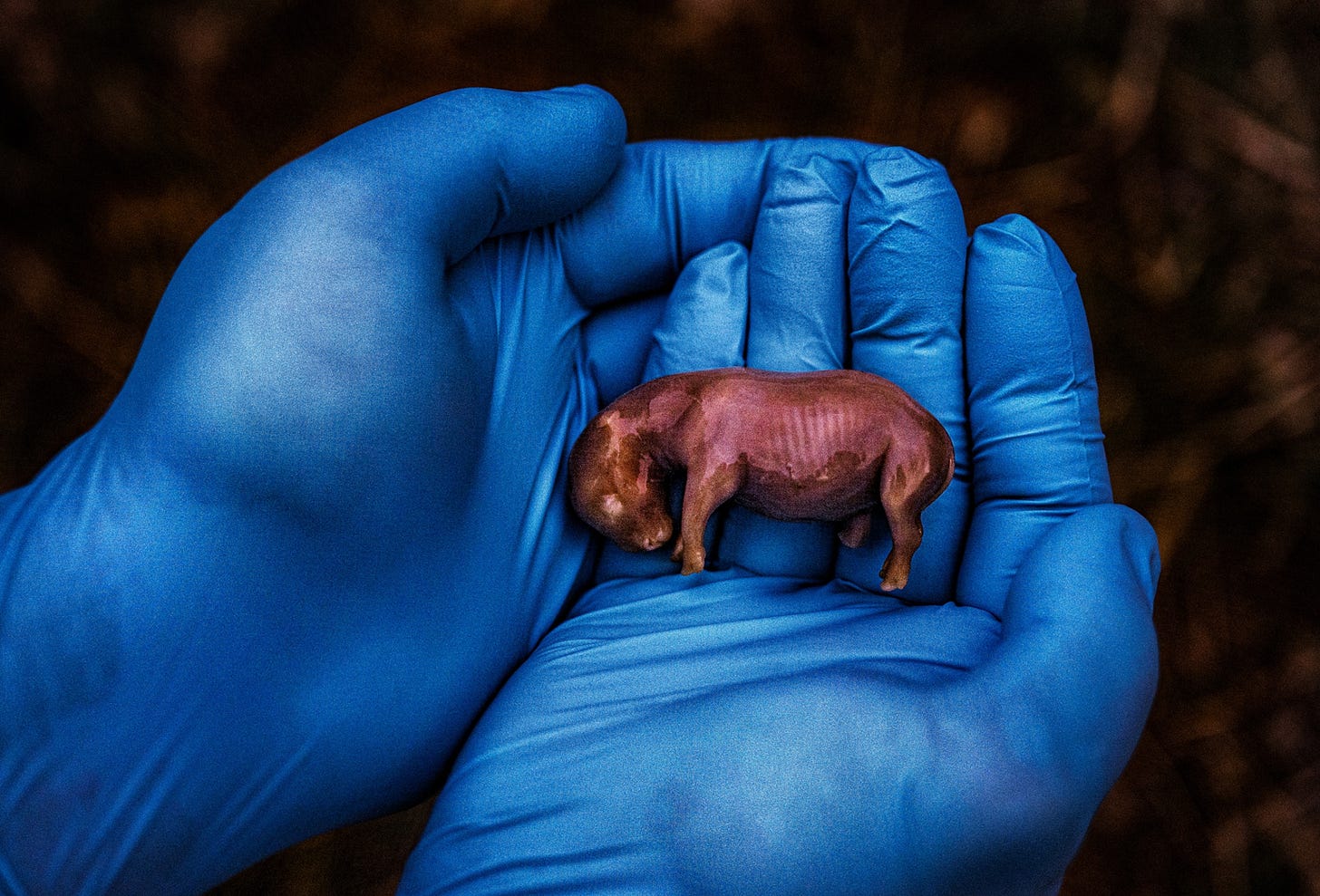 Nat Geo's most compelling images of the 21st century (so far) | National  Geographic