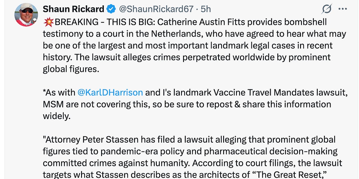 Catherine Austin Fitts provides bombshell testimony to a court in the Netherlands, who have agreed to hear what may be one of the largest and most important landmark legal cases in recent history