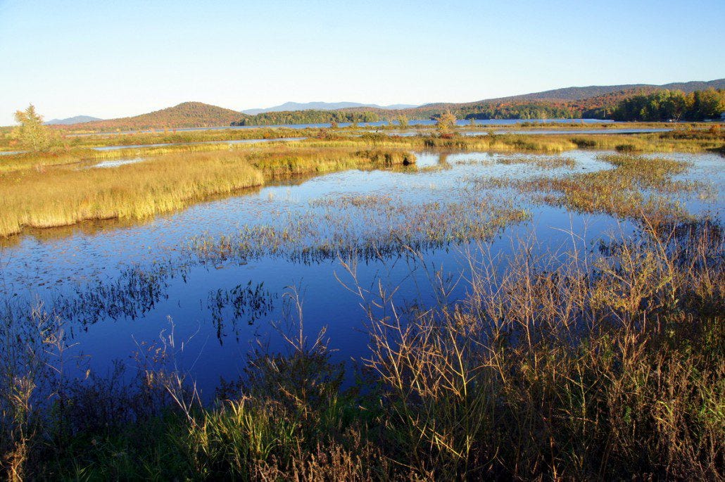 A nice view of Tupper Lake.