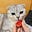 kilin's avatar