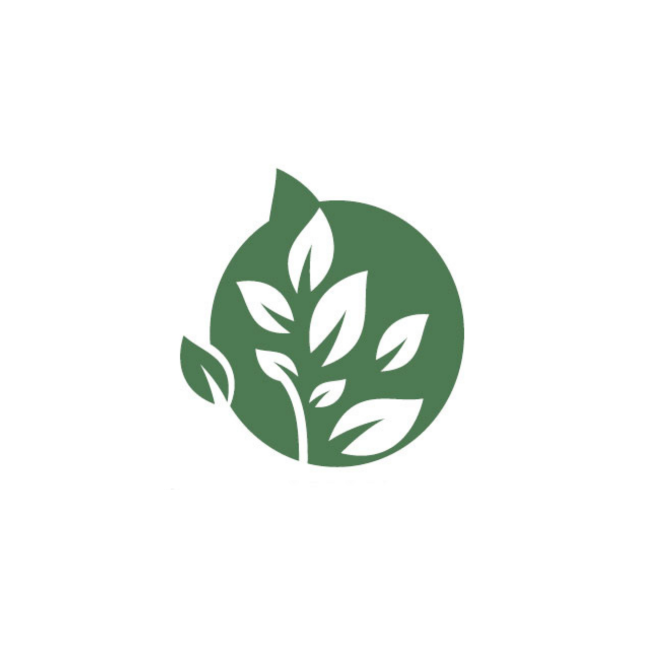 Community for Conscious Aging's Substack