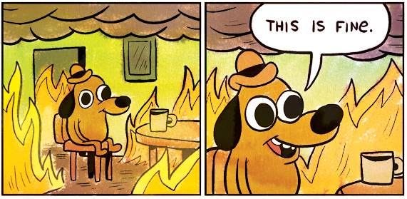 photo of a dog in a house with a hat on surrounded by fire that says, i'm fine, this is fine.