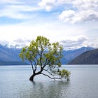 Why Midlife Is Having a Moment