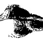 SandyRockPoetry's avatar
