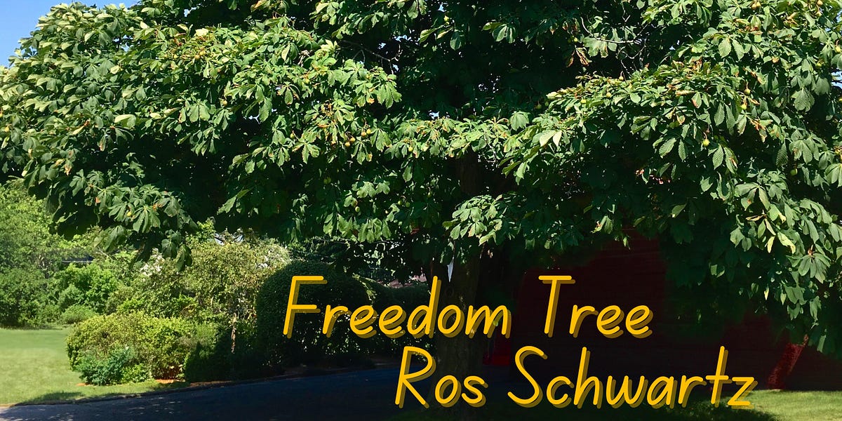 FREEDOM TREE - A Song of Remembrance - by Ros Schwartz